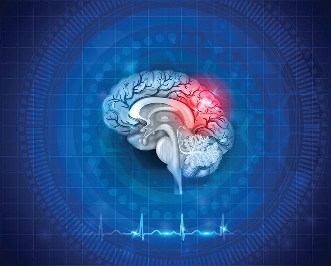 brain animated image
